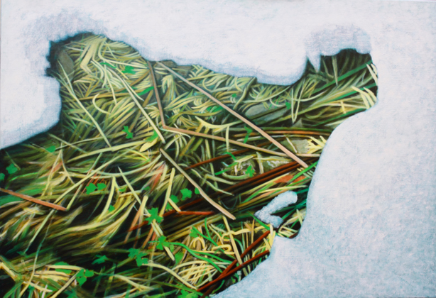 003 melting olie/doek 95 x 140 cm Lea Nieuwhof schilderij